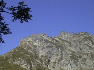 torrione 2003